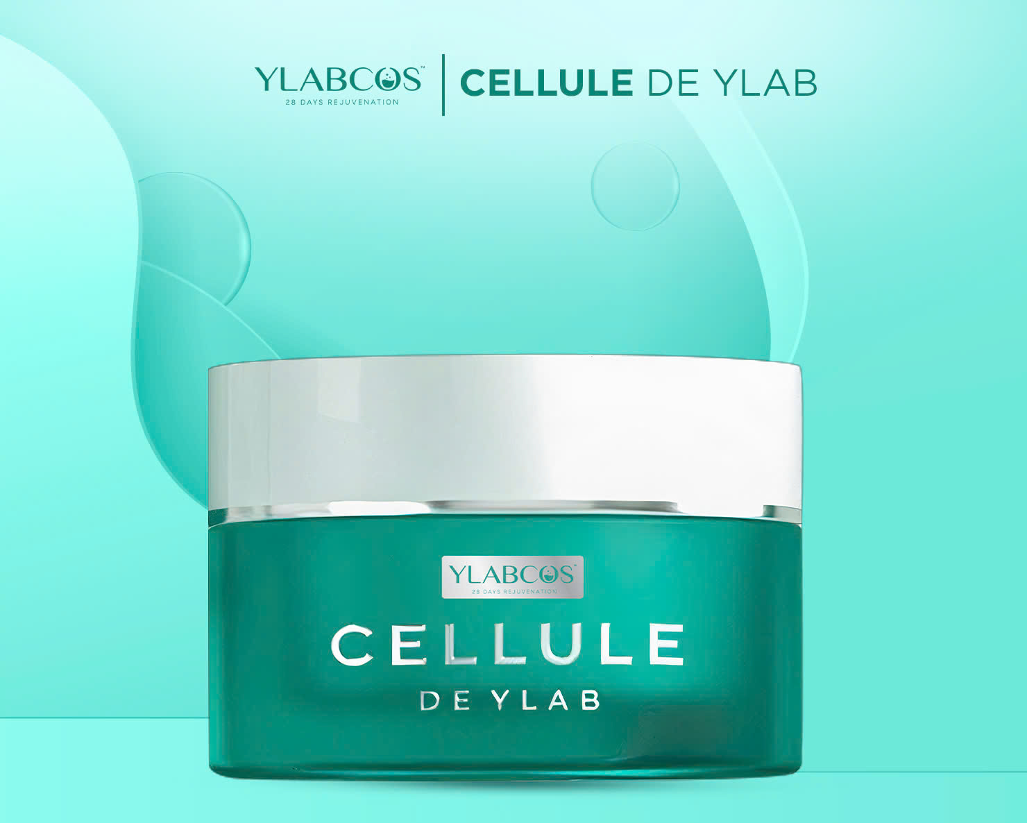 CELLULE DE YLAB